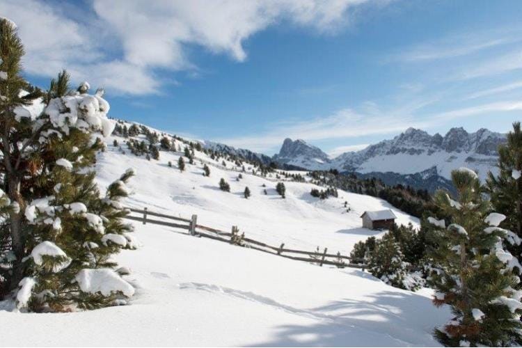 Paesaggio invernale, Plose (CT Valle Isarco, foto Thomas Gruener)